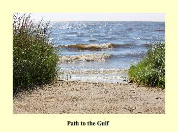 Path to the Gulf