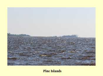 Pine Islands