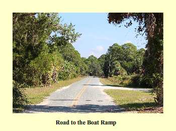 Road to the Boat Ramp