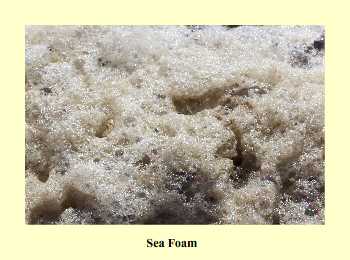 Sea Foam