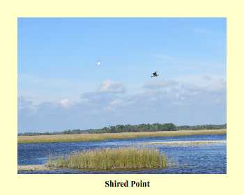 Shired Point