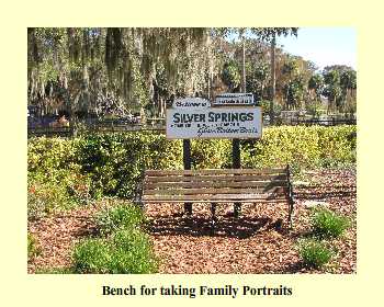 Bench for taking Family Portraits