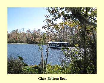 Glass Bottom Boat