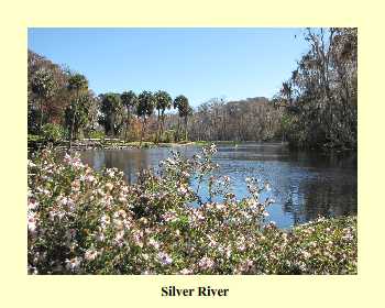 Silver River