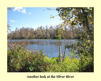 Another look at the Silver River