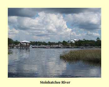 Steinhatchee River