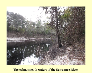The calm, smooth waters of the Suwannee River