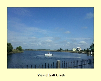 View of Salt Creek