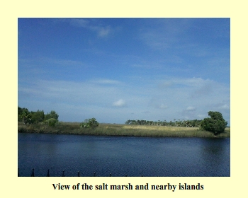 View of the salt marsh and nearby islands