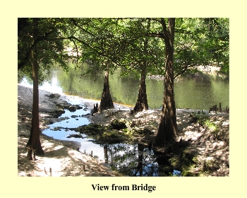 View from Bridge