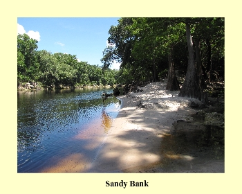 Suwannee River State Park