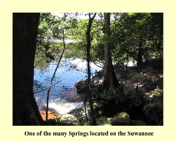 One of the many Springs located on the Suwannee