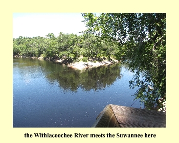 the Withlacoochee River meets the Suwannee here