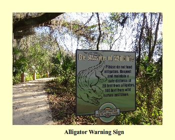 Alligator Warning Sign