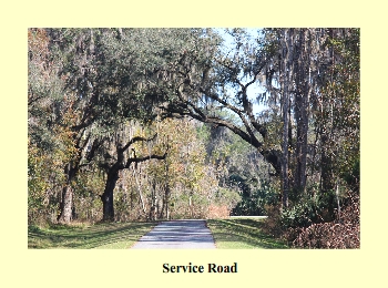 Service Road