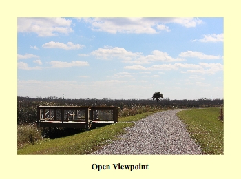 Open Viewpoint