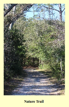 Nature Trail