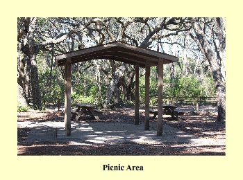 Picnic Area