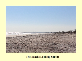 The Beach (Looking South)