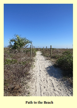 Path to the Beach