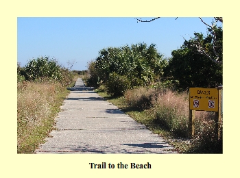 Trail to the Beach