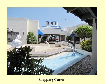 Shopping Center