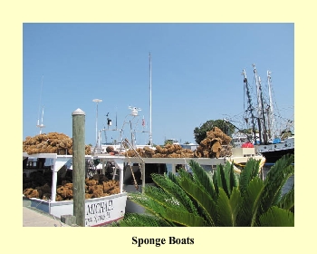 Sponge Boats