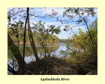 Apalachicola River