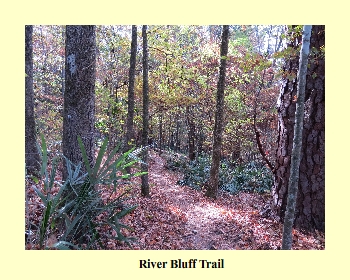 River Bluff Trail