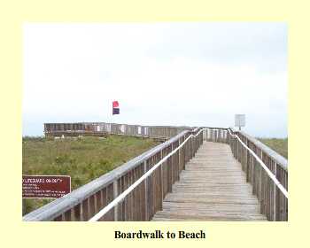 Boardwalk to Beach