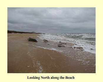 Looking North along the Beach