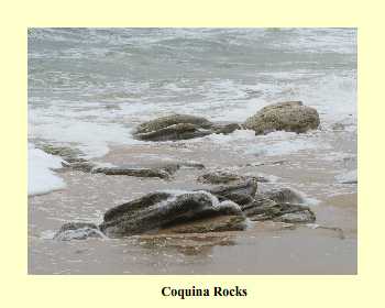 Coquina Rocks