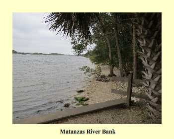 Matanzas River Bank