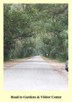 Road to Gardens & Visitor Center