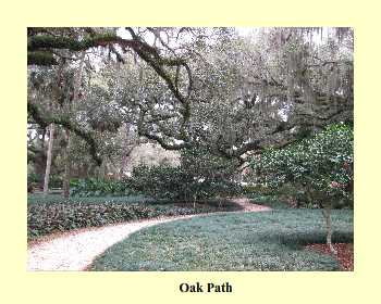 Oak Path