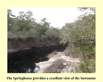 The Springhouse provides a excellent view of the Suwannee