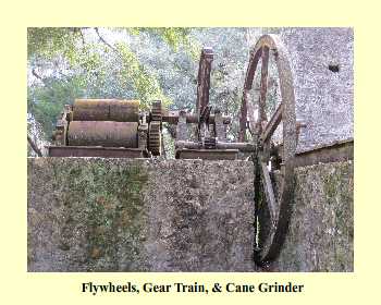 Flywheels, Gear Train, & Cane Grinder