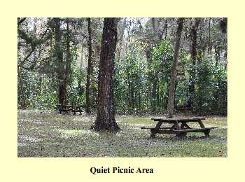 Quiet Picnic Area